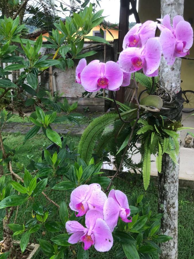 Casa Parabens! Sertao do Taquari Ngoại thất bức ảnh